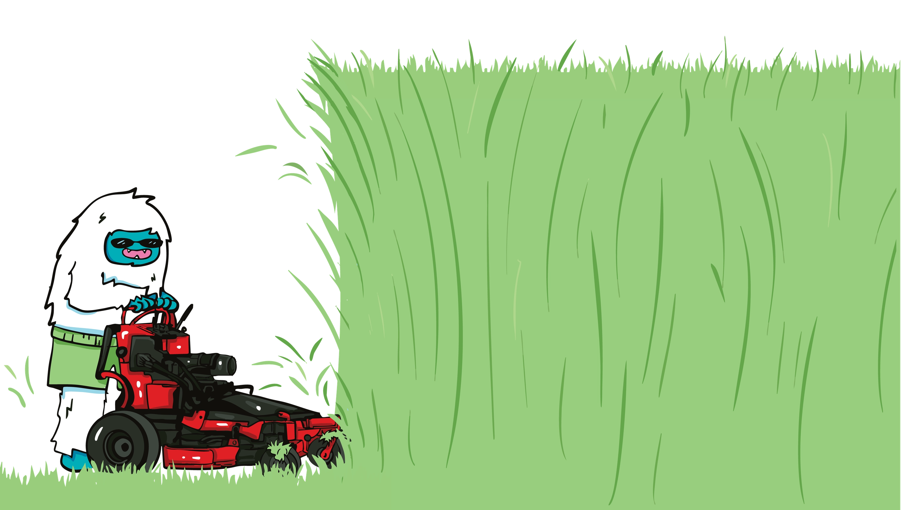 House with Grass | Northern Lawns